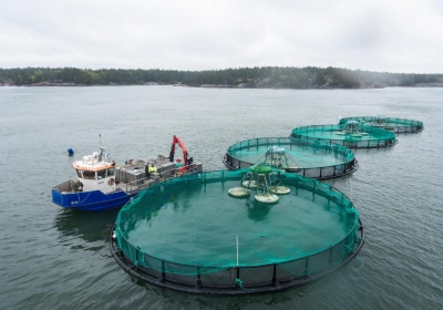 Fish farming - aquaculture